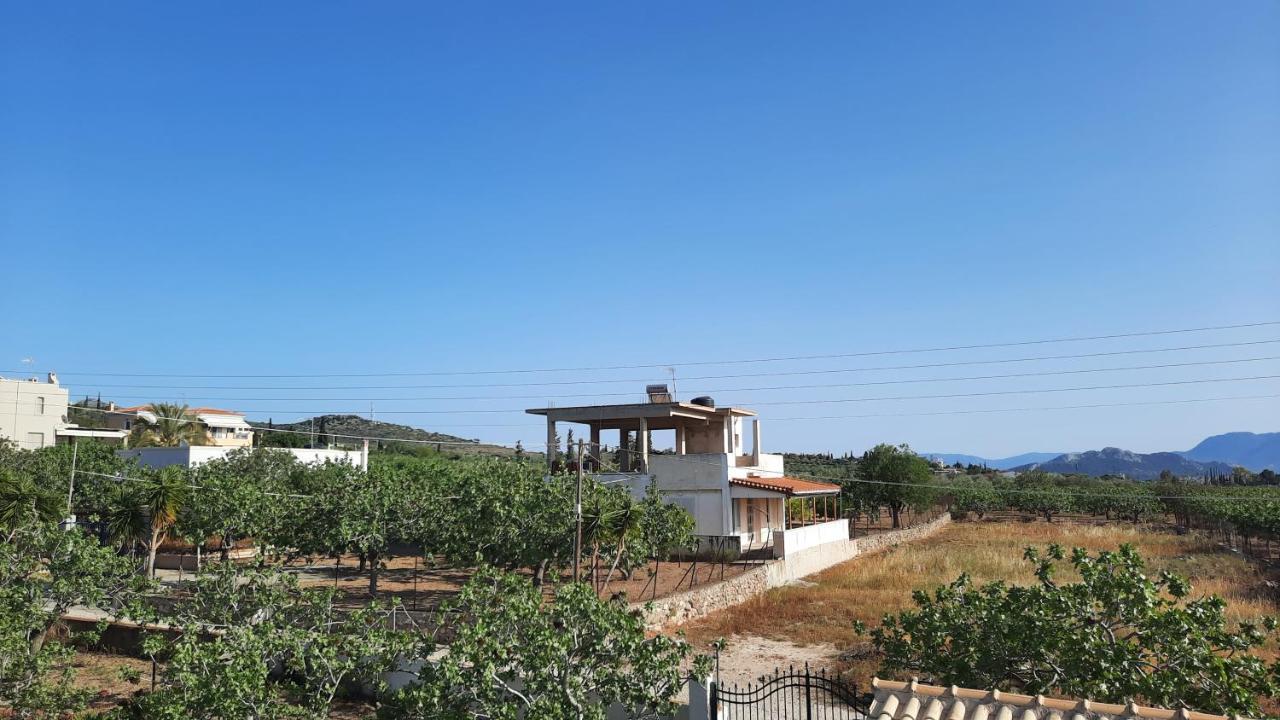 Mosxonas House Apartment Aegina Екстериор снимка